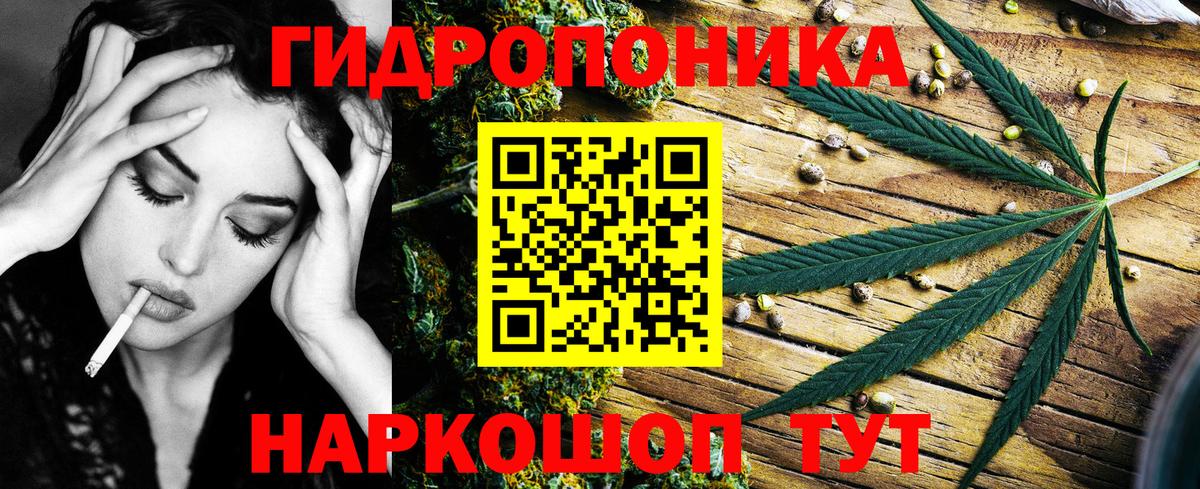 Бошки Шишки семена Маркс